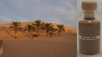#105 - Al Faya Wüste