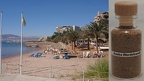 #074 - Aqaba Nordstrand