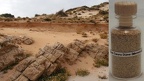 #115 - Son Saura Düne (Menorca)